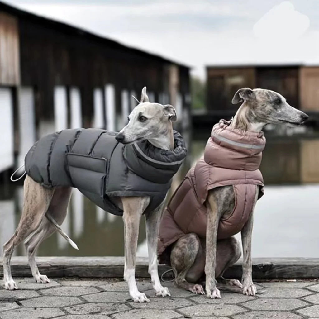 Gilet thermique pour chien