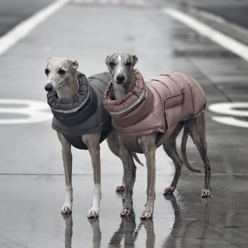 Gilet thermique pour chien