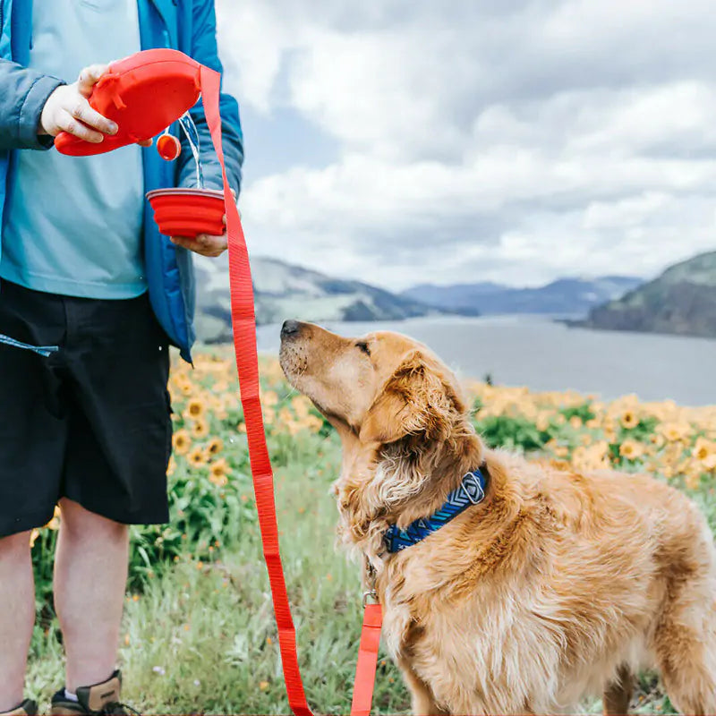 The Smart Adventure Pack