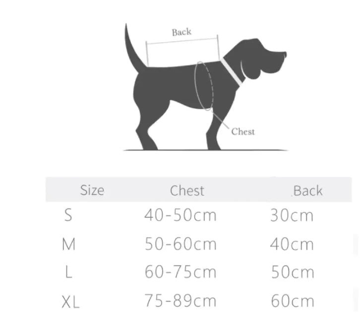 Gilet thermique pour chien