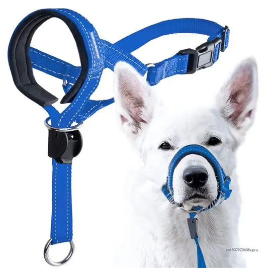 Large Capacity Dog Water Bottle