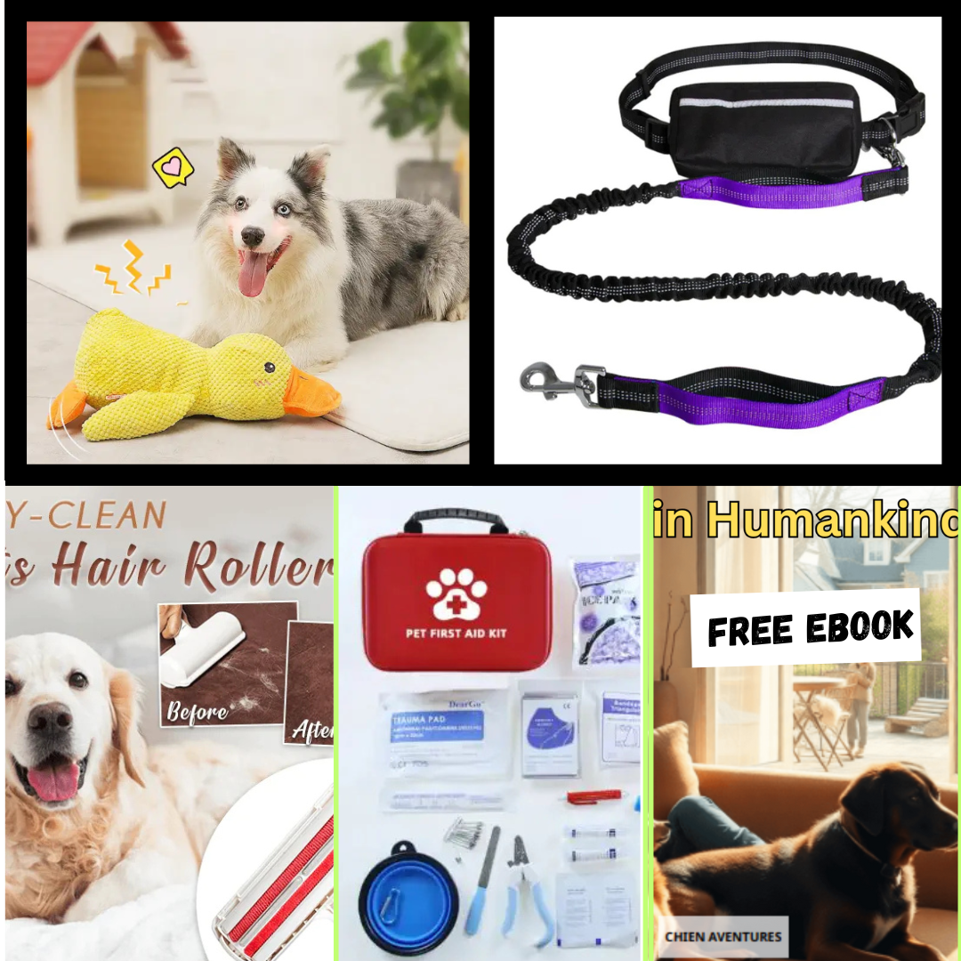 The Happy Life Kit