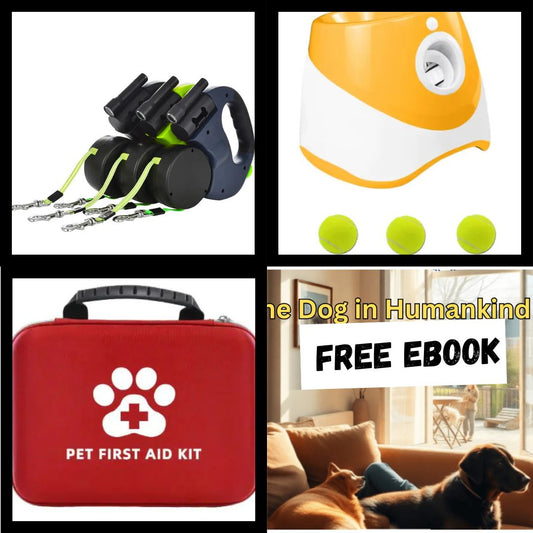 The Little One’s Adventure Pack – For Small Dogs